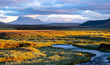Iceland-Northern Tours-Wild North